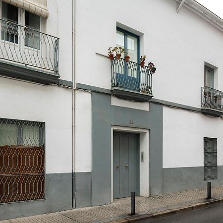 Alohamundi Pasion Lägenhet Sevilla Exteriör bild